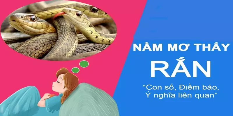 Giấc chiêm bao thấy loài vật nhắc nhở con người về những may mắn hay xui rủi trong tương lai?