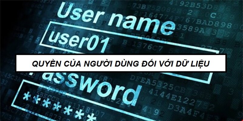 Các quyền của người dùng đối với dữ liệu đều rất rõ ràng và minh bạch